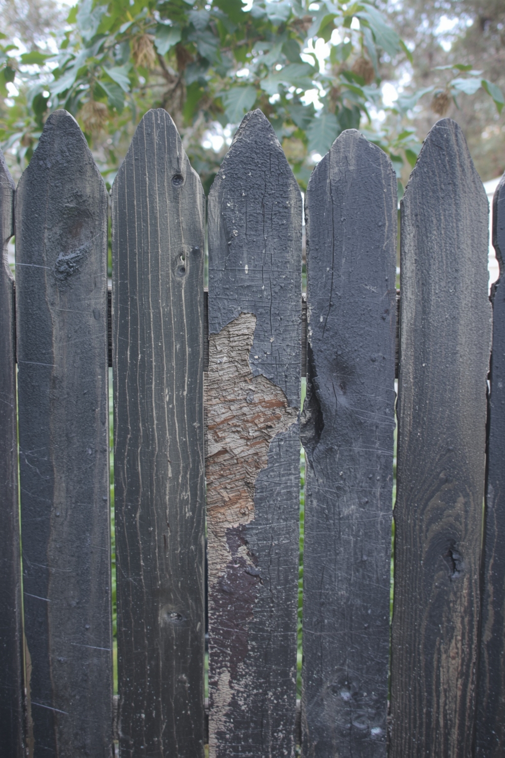 Transforming Fences & Walls